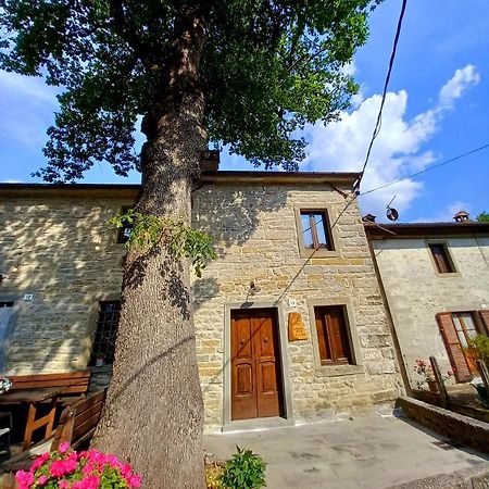 Casina La Quercia Apartment Santa Sofia Luaran gambar