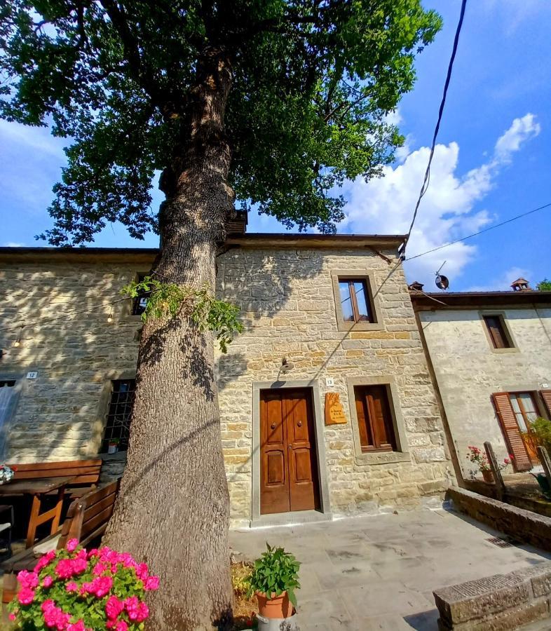 Casina La Quercia Apartment Santa Sofia Luaran gambar