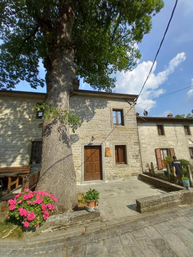 Casina La Quercia Apartment Santa Sofia Luaran gambar