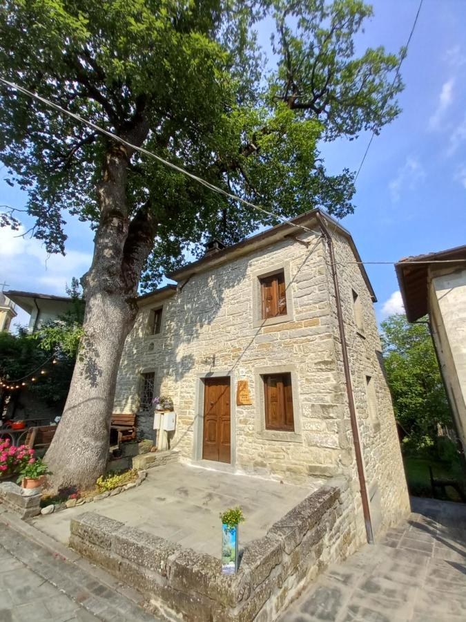 Casina La Quercia Apartment Santa Sofia Luaran gambar