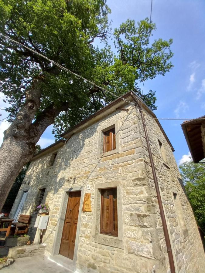 Casina La Quercia Apartment Santa Sofia Luaran gambar